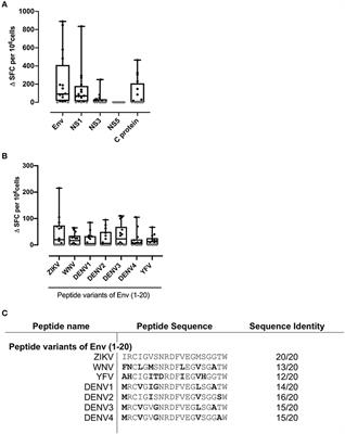 Strong CD4 T Cell Responses to Zika Virus Antigens in a Cohort of Dengue Virus Immune Mothers of Congenital Zika Virus Syndrome Infants